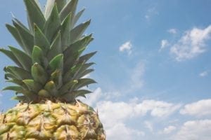 Is there a link between sunshine and mental health?